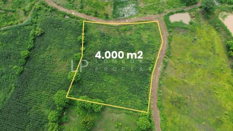 Image for Property Pujut