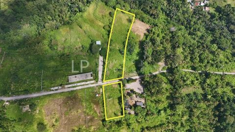 Image for Property Dopang
