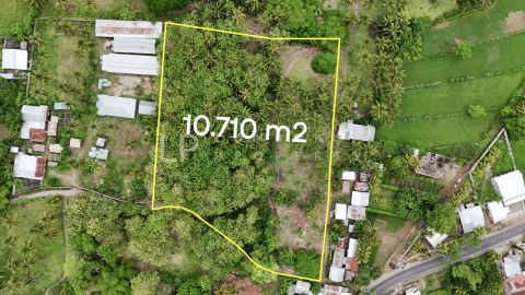 Image for Property Sigar Penjalin