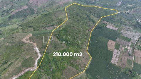 Image for Property Sekotong