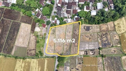 Image for Property Kuripan